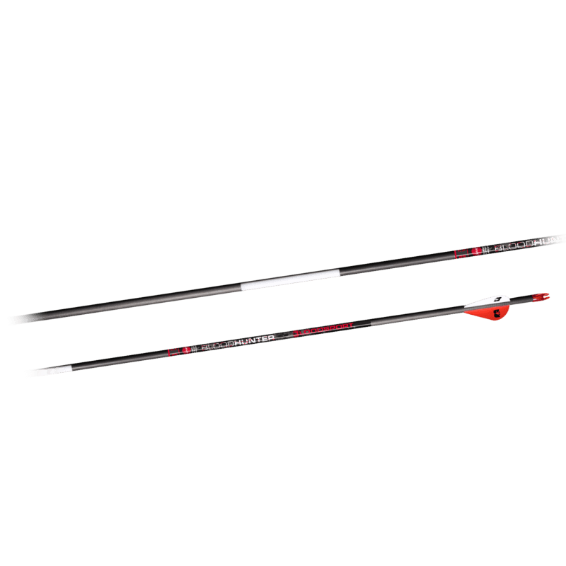 Bloodsport Judgement Arrows 300 .001 (6 pk)