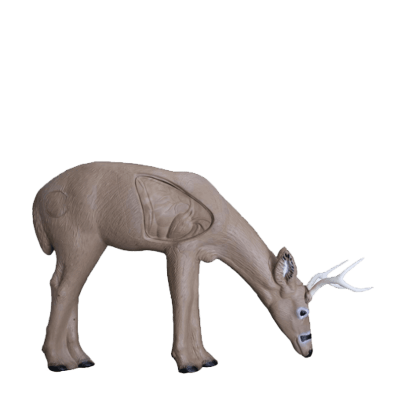 Rinehart Deer Broadhead Buck