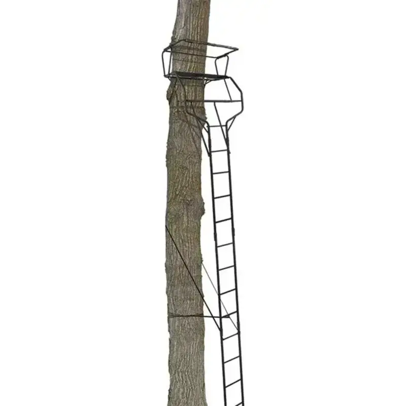 Big Game Guardian XLT 2 Man Ladder Stand