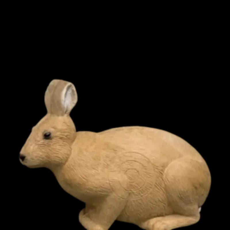 Rinehart IBO Rabbit Target