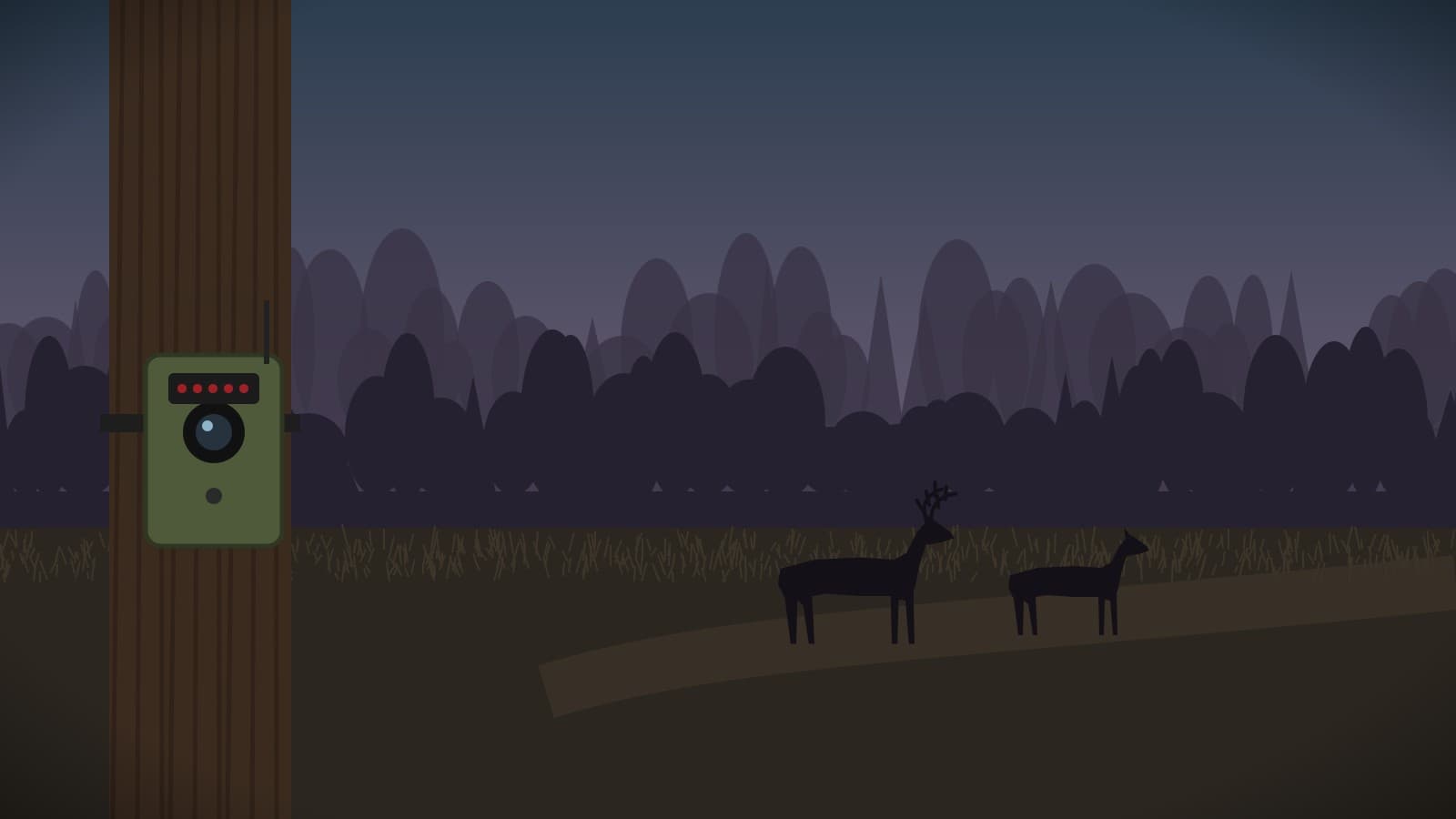 How to Set Up Trail Cameras for Whitetail Deer